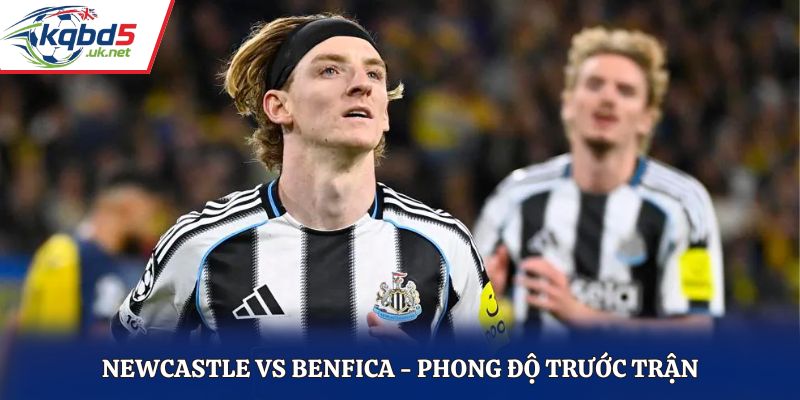 Soi kèo Newcastle vs Benfica - thống kê kết quả ra sân gần nhất
