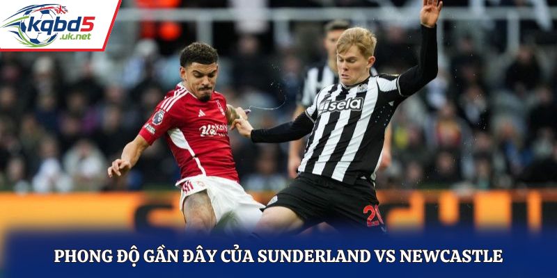 Đánh giá thành tích thi đấu gần đây của Sunderland vs Newcastle